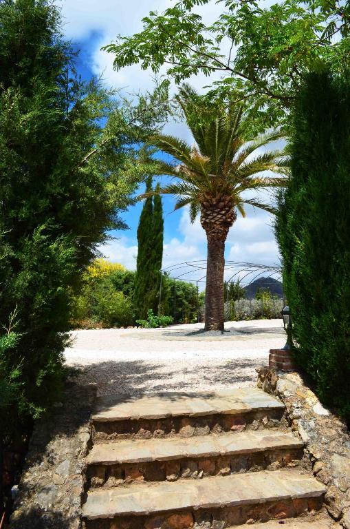 Cortijo Sabila Guest House Villanueva del Rosario Ngoại thất bức ảnh