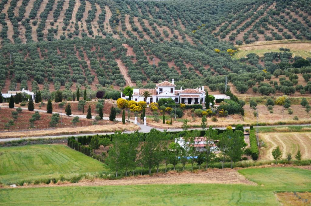 Cortijo Sabila Guest House Villanueva del Rosario Ngoại thất bức ảnh